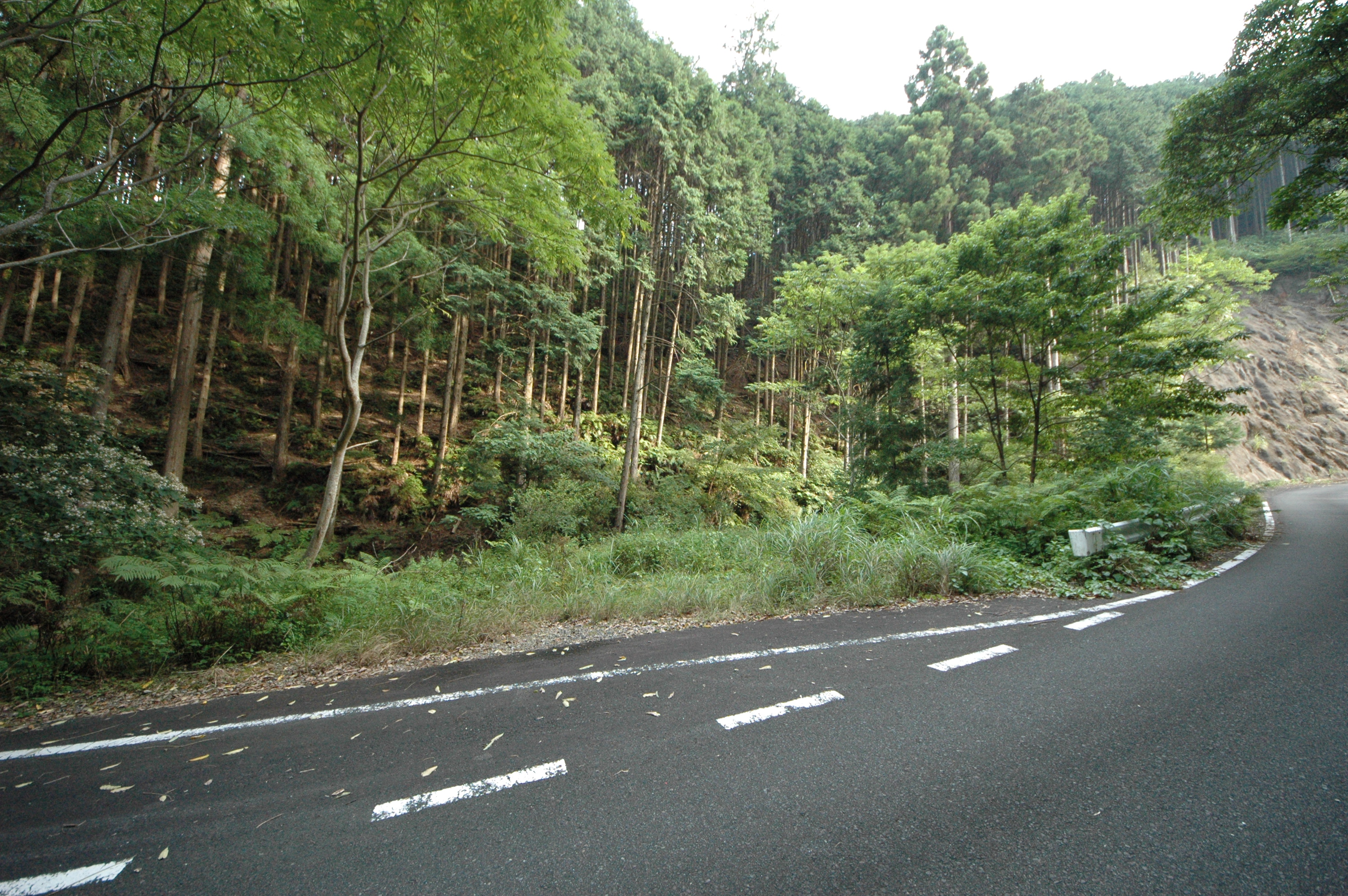 埼玉 山林 購入