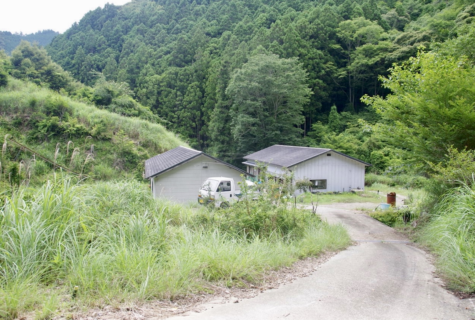   和歌山県田辺市にある50万坪の山林です。4900万円(応相談)