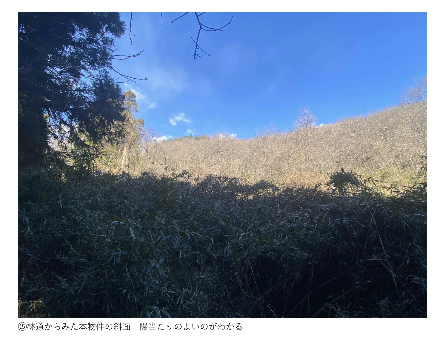   値下げしました。群馬県桐生市内にある陽当たりの良いキャンプ向きの山林です。120万円