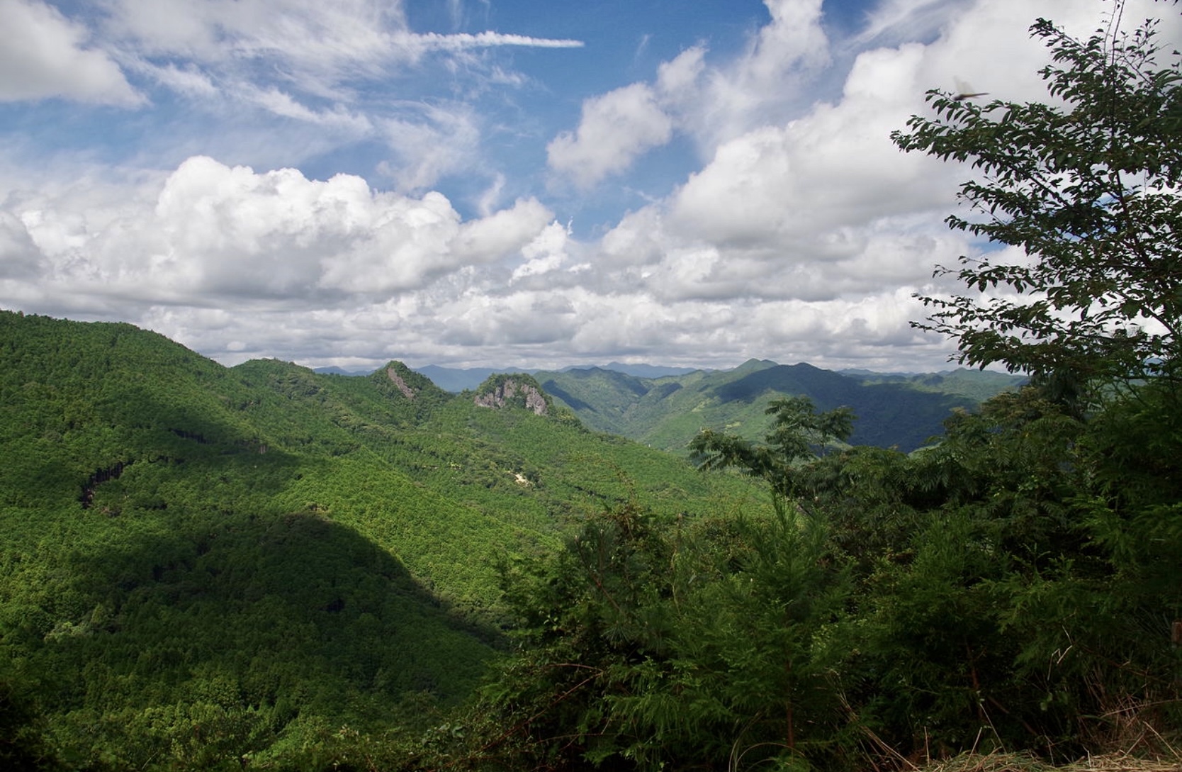   和歌山県東牟婁郡古座川町の山間部にある1万3000坪の眺望が特に良い山林です。 165万円(応相談)
