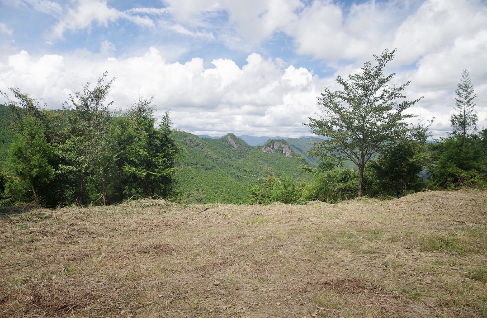   和歌山県東牟婁郡古座川町の山間部にある1万3000坪の眺望が特に良い山林です。 165万円(応相談)