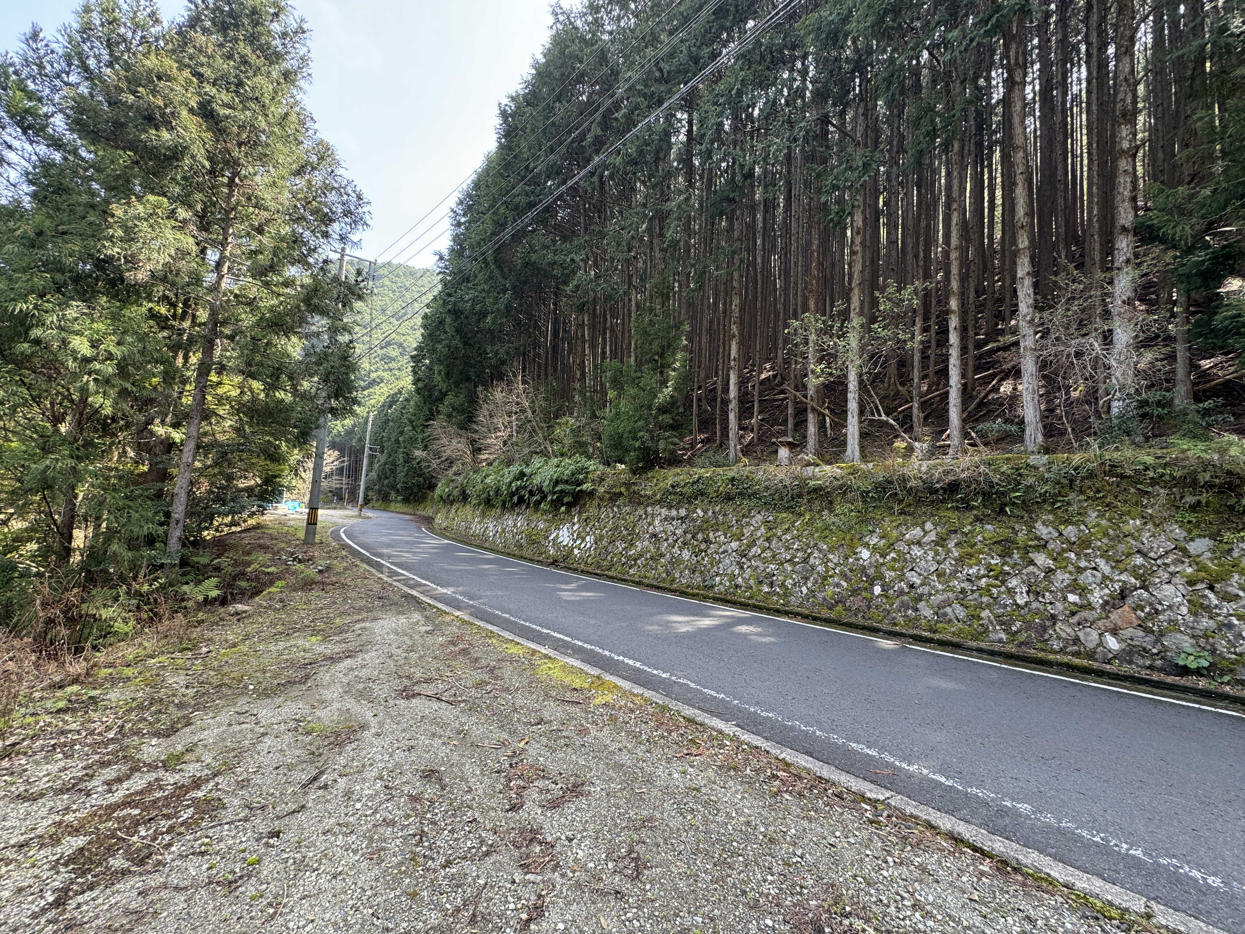   和歌山県串本町里川に所在する県道沿い の1つに纏まった3万6000坪の普通林です。370万円  応相談