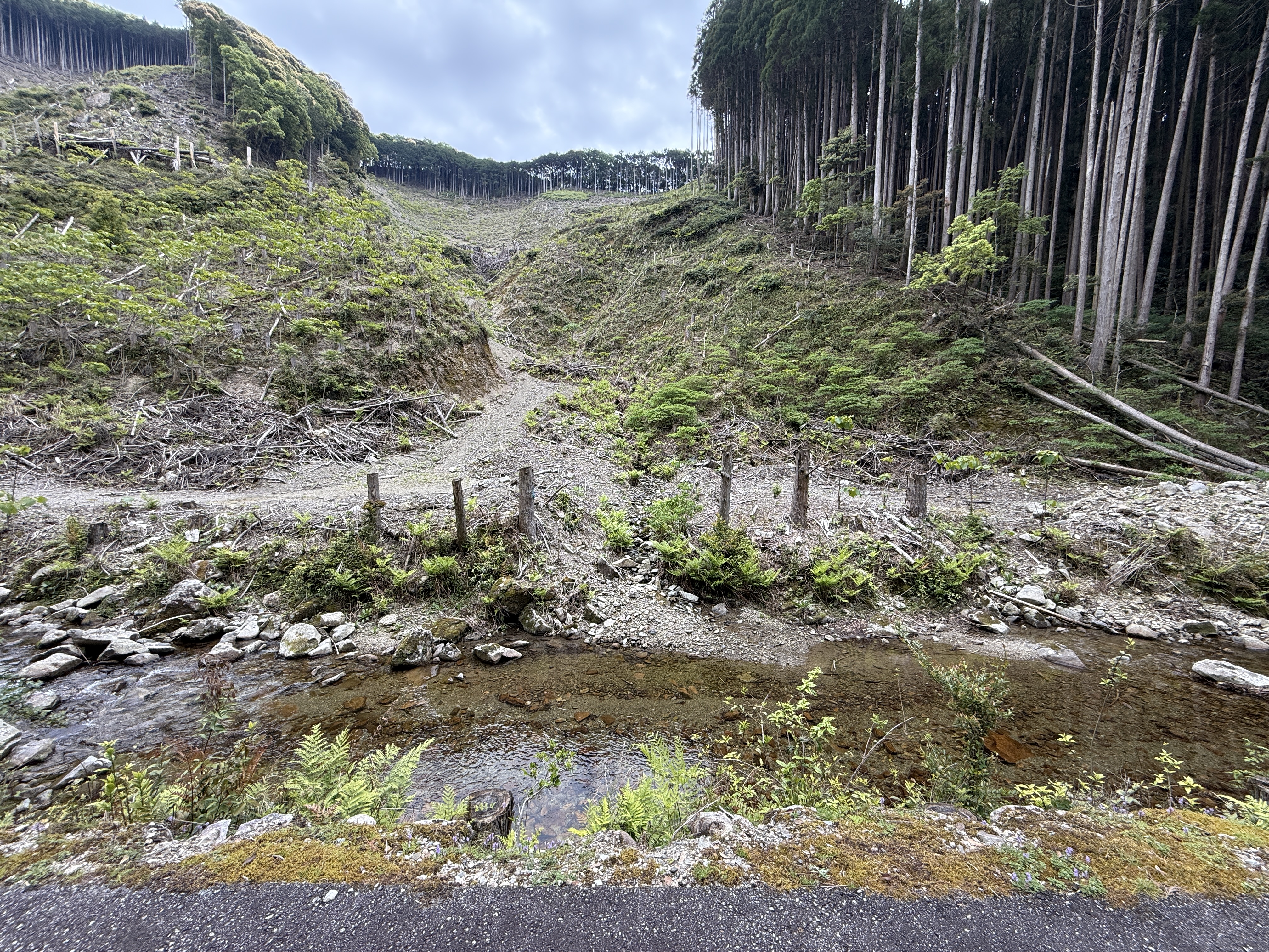  小さな子供達も遊べる清流に面した1万4000坪の山林です。90万円