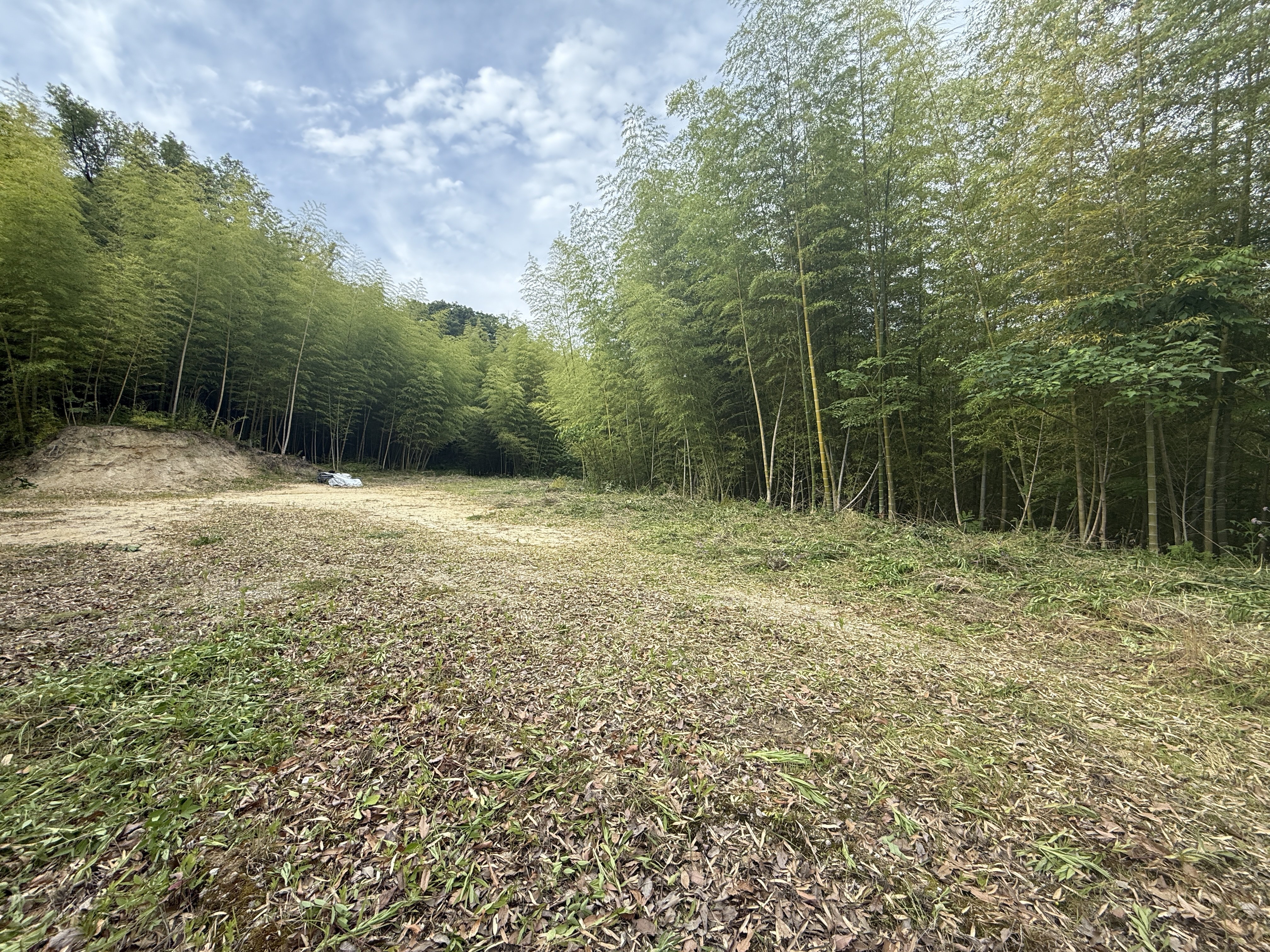   淡路島にある広い平坦地のあるファミリーキャンプ向き山林。　1700坪。　300万円