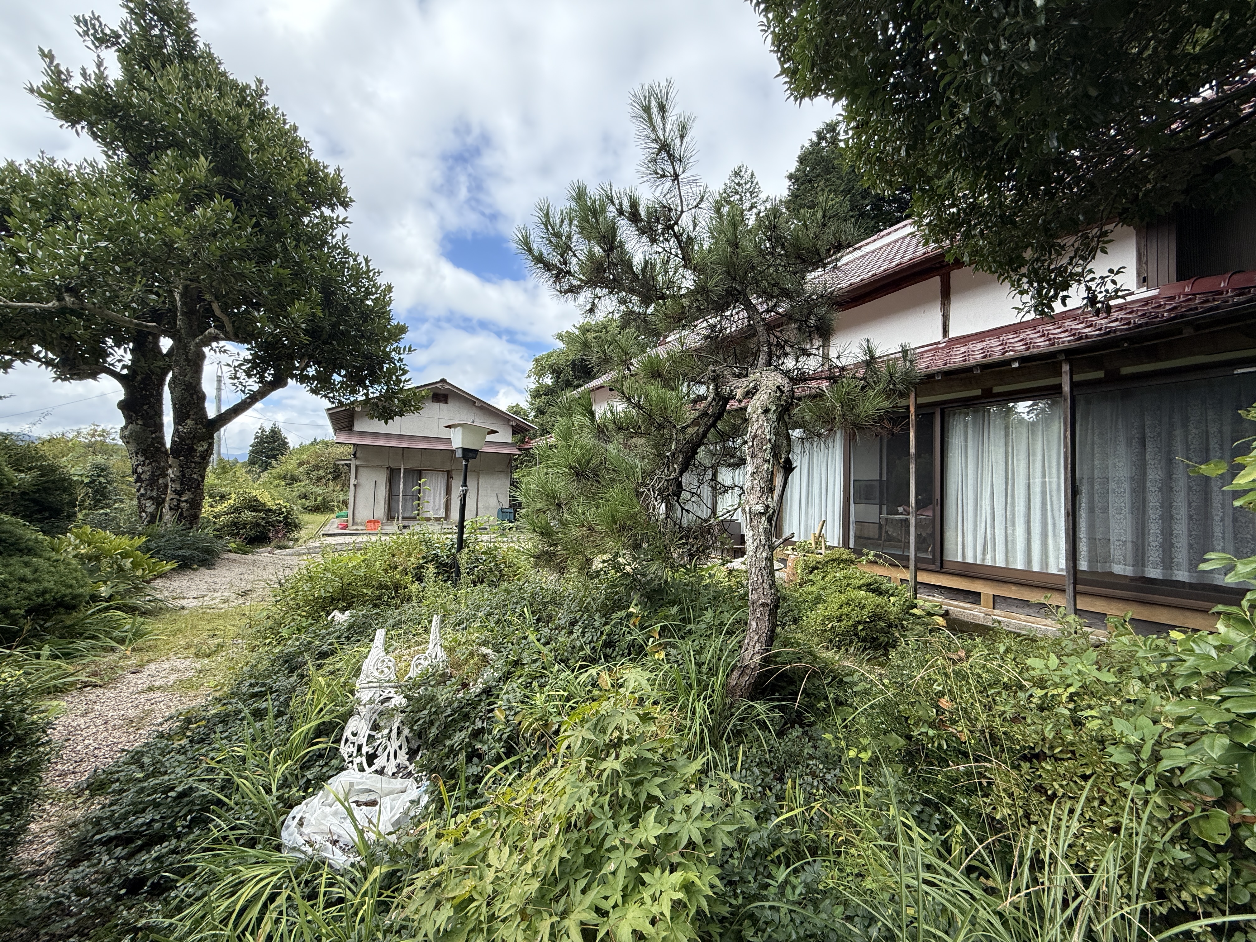   【山林】他の山林を見る