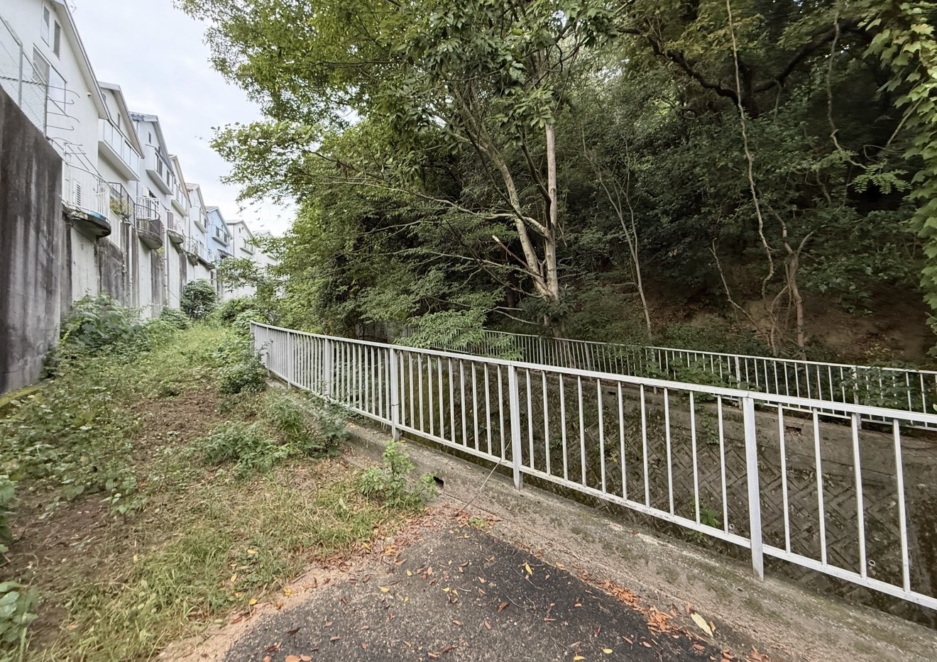   【山林】他の山林を見る