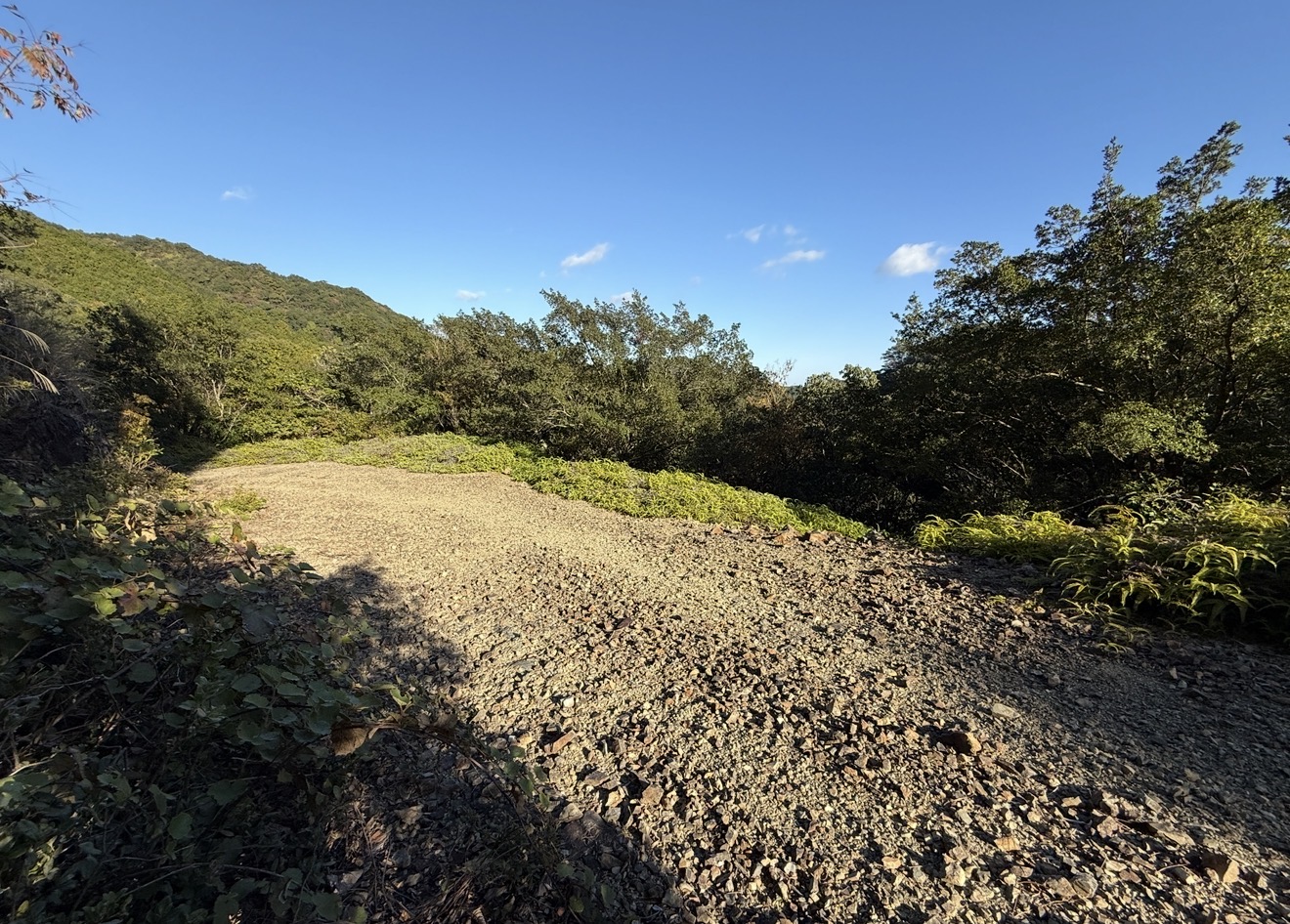   和歌山県東牟婁郡古座川町北山谷にある実測6万2000坪の山林です。山林（普通林)  350万円。